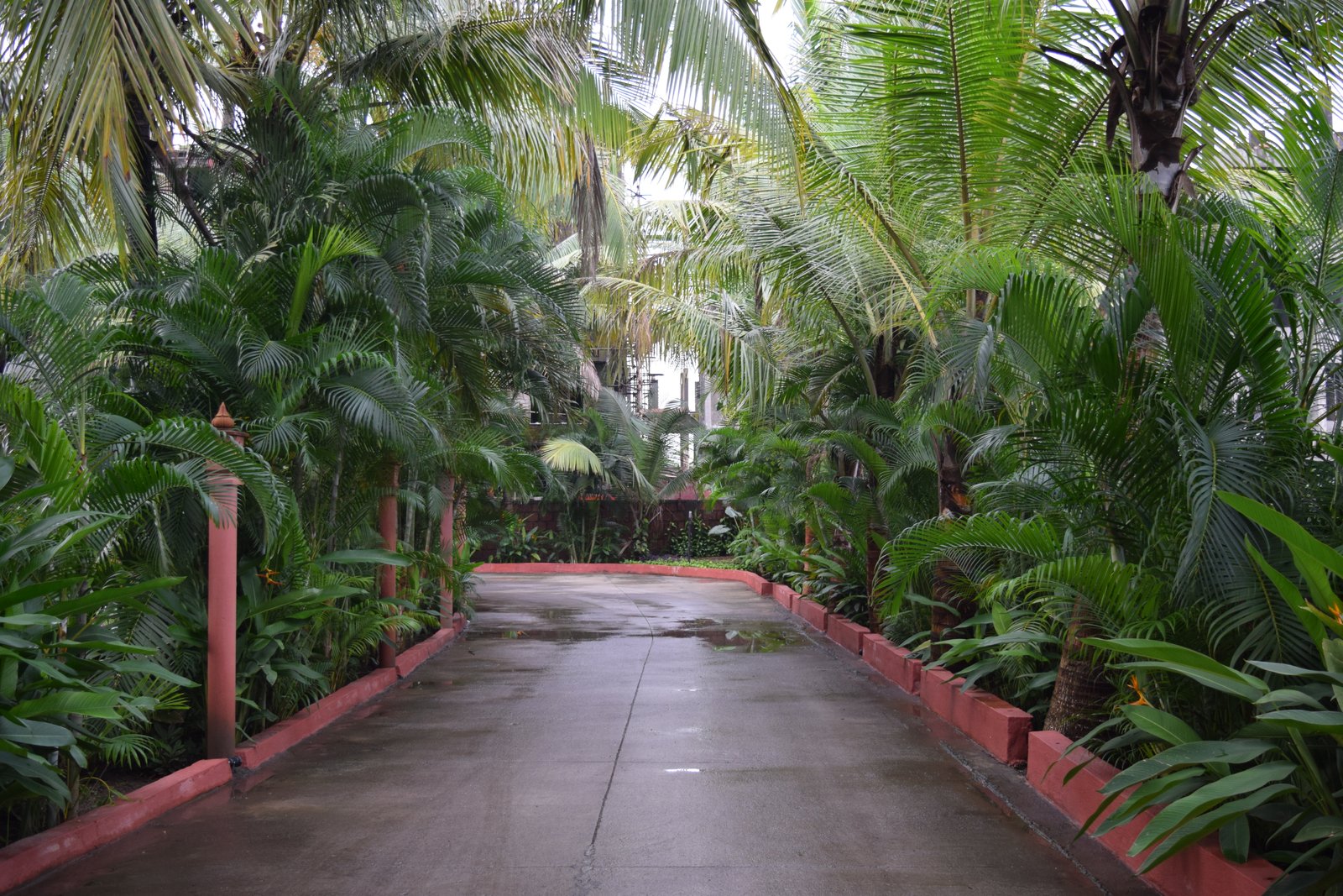 Saya Grand Resort